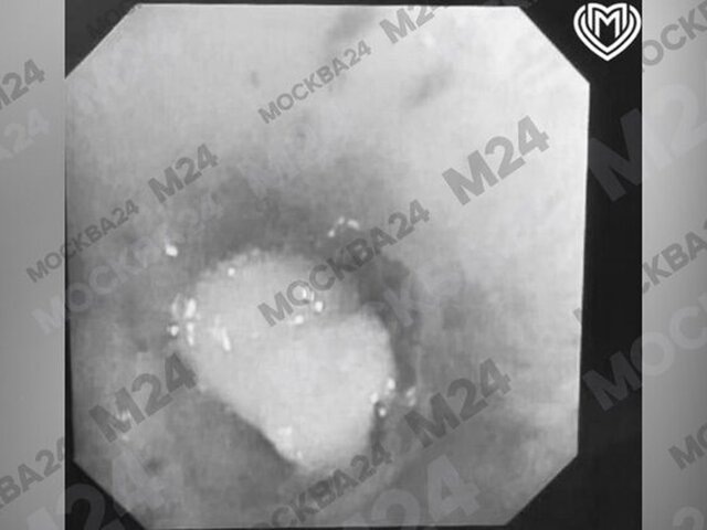    Фото: департамент здравоохранения Москвы/