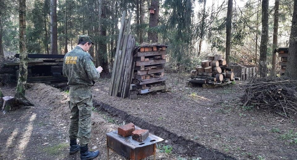    Комитет лесного хозяйства Московской области