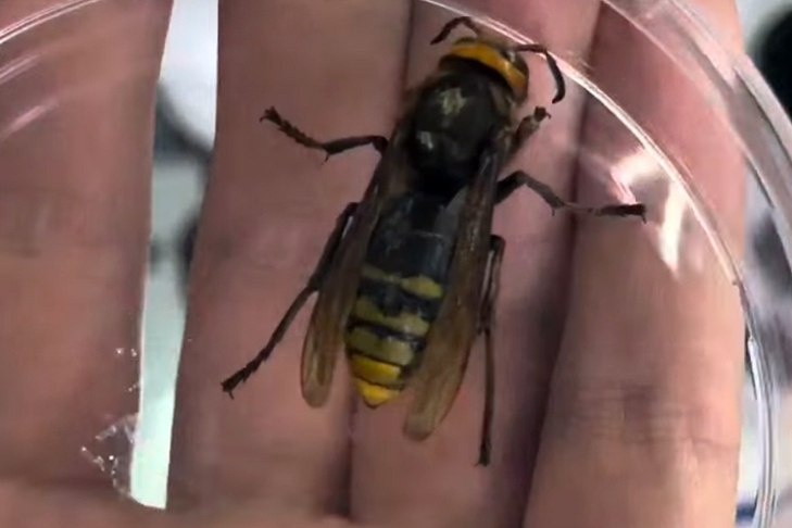    Фото из архива VN.ru