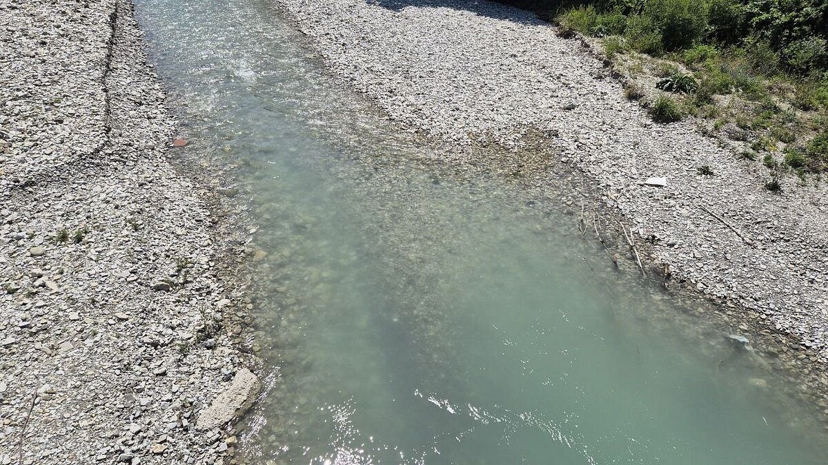    Фото: телеканал «Краснодар»