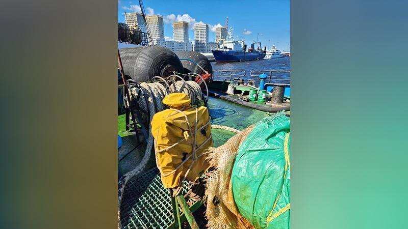    Фото: t.me/mvdszfo