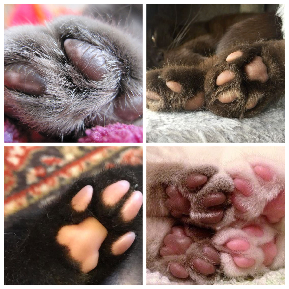 Кто заметил неправильное?