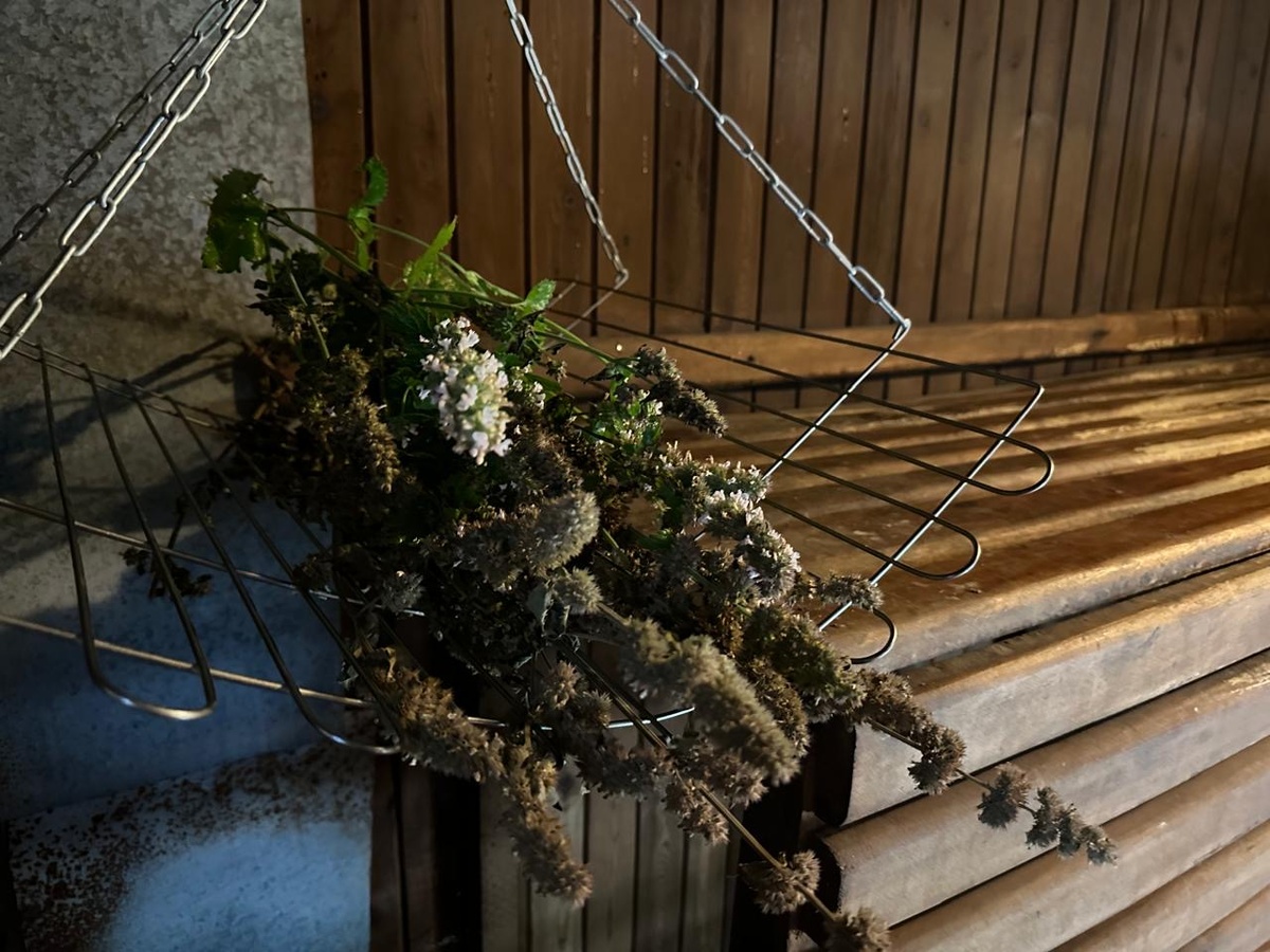 Фото автора. 