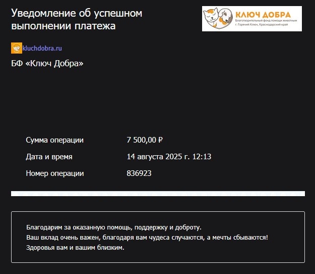 Перевод в фонд "Ключ Добра"