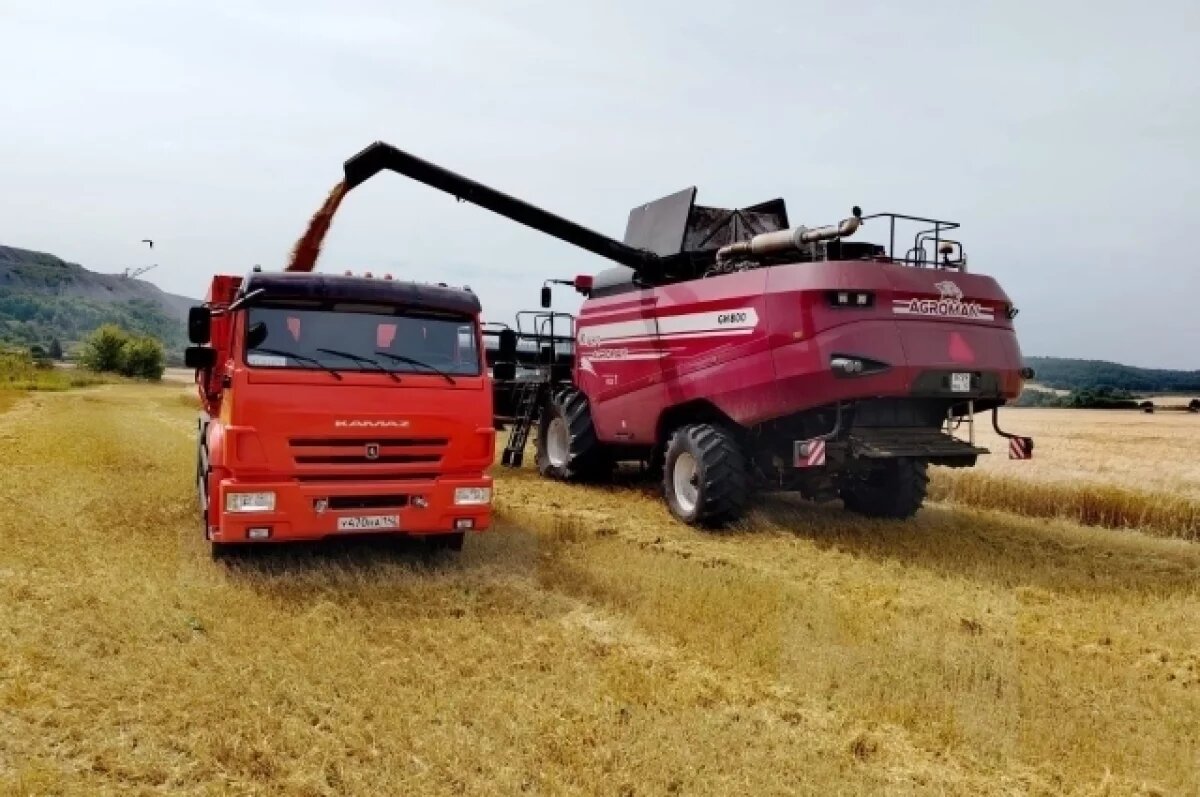    Аграрии Кузбасса рассчитывают на хороший урожай, несмотря на дожди