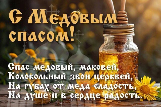    Фото: spb.aif.ru