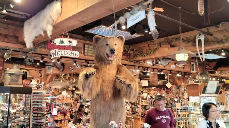 В Анкоридже готовятся к саммиту Владимира Путина и Дональда Трампа. Фото: Иван Пильщиков/ТАСС