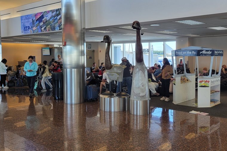 Путин и Трамп прибудут в Анкоридж 15 августа. Фото: Иван Пильщиков/ТАСС