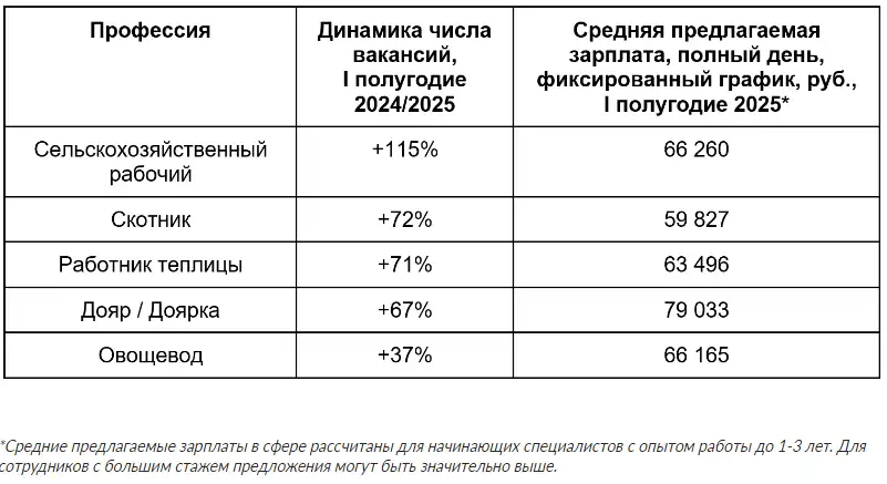 данные Авито. Работа
