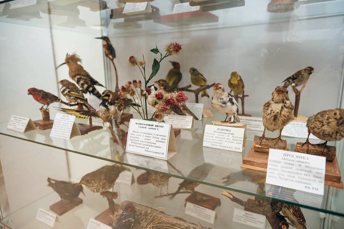    Фото: МГУ им. Н.П. Огарёва, источник: mrsu.ru