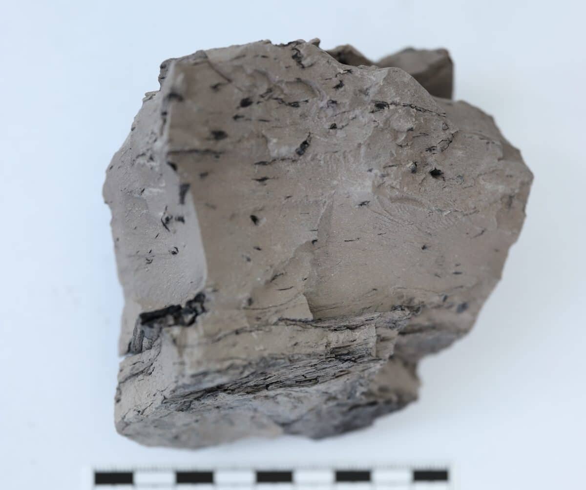    Образец тонштейна / © Алексей Вергунов, пресс-служба РНФ