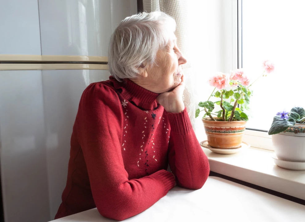 Фото: Solarisys | Shutterstock | Fotodom