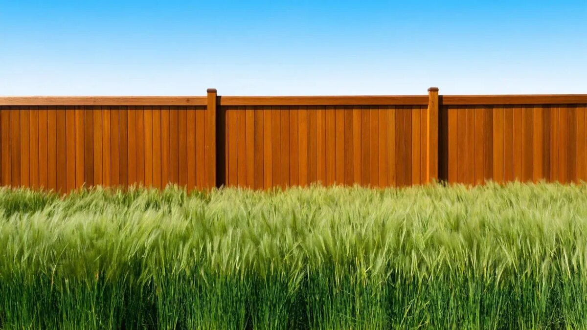    Сгенерировано ИИ