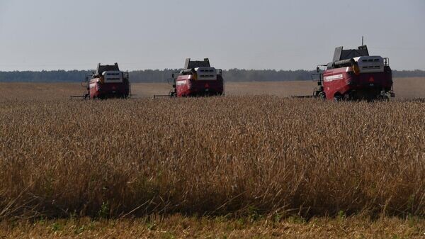    © Sputnik / Виктор Толочко