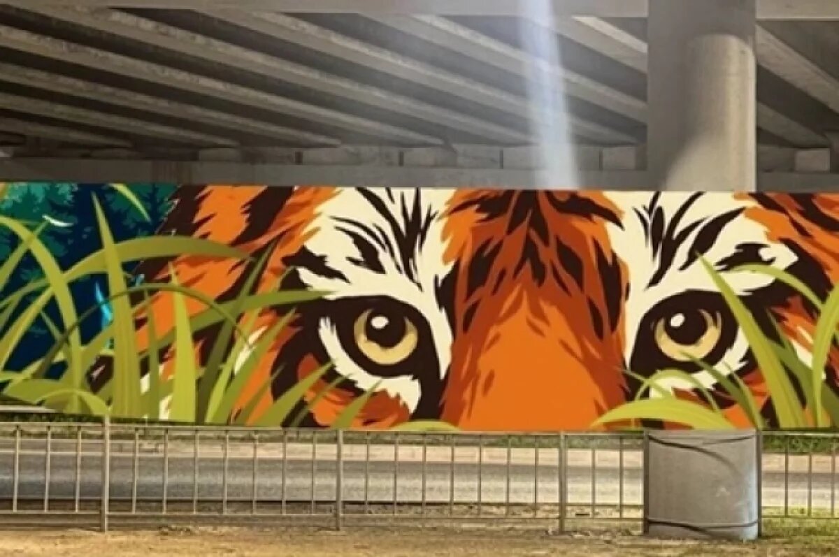    Четыре победителя конкурса муралов распишут четыре стены во Владивостоке