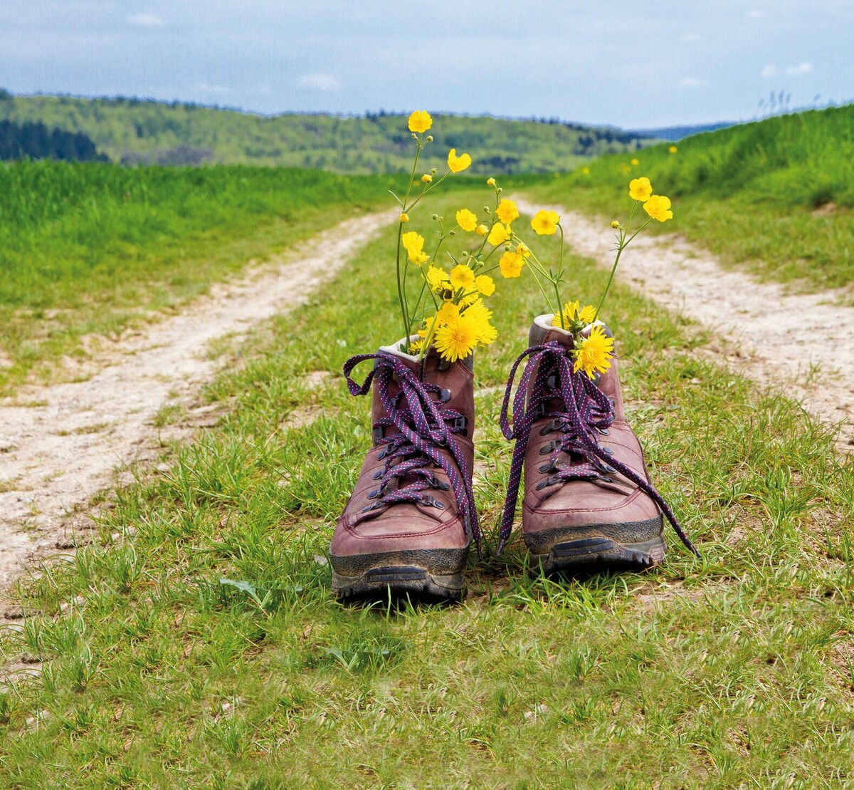 Открытый источник