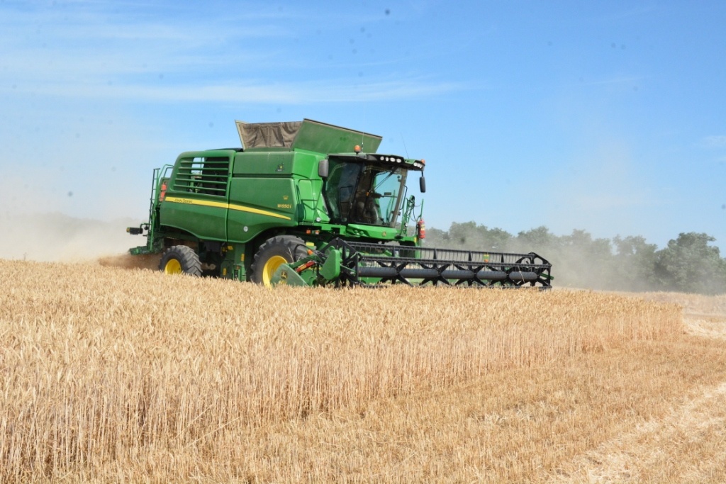    Фото: Е. Антонова. Елена Антонова