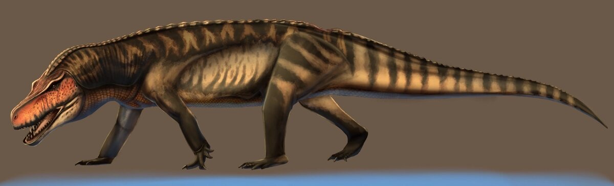 Фасолазух, арт.