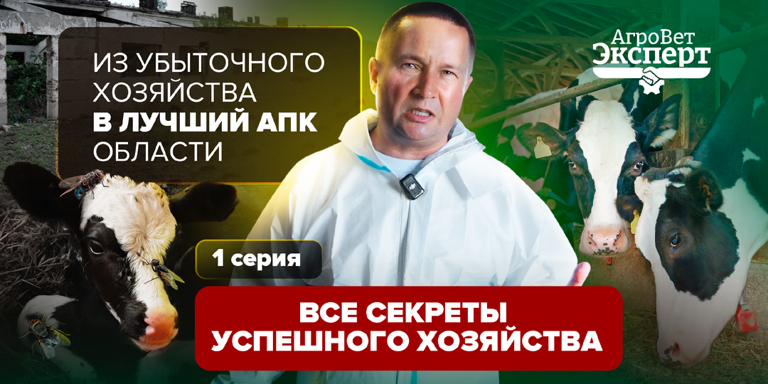 Из убыточного хозяйства в лучший АПК области: Премьера сериала о трансформации кризисного бизнеса