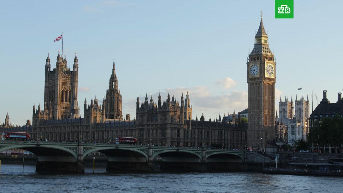    Фото: Amir Arsalan Shamsabadi / unsplash.com