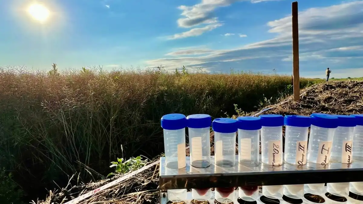 Фото:Telegram-канал РосАгрохимслужбаПрименение клеевых композиций в сельском хозяйстве