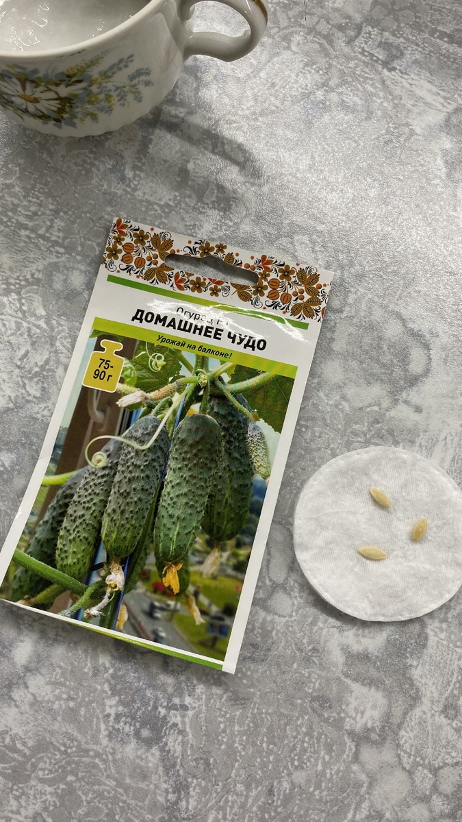 Замачивание семечек