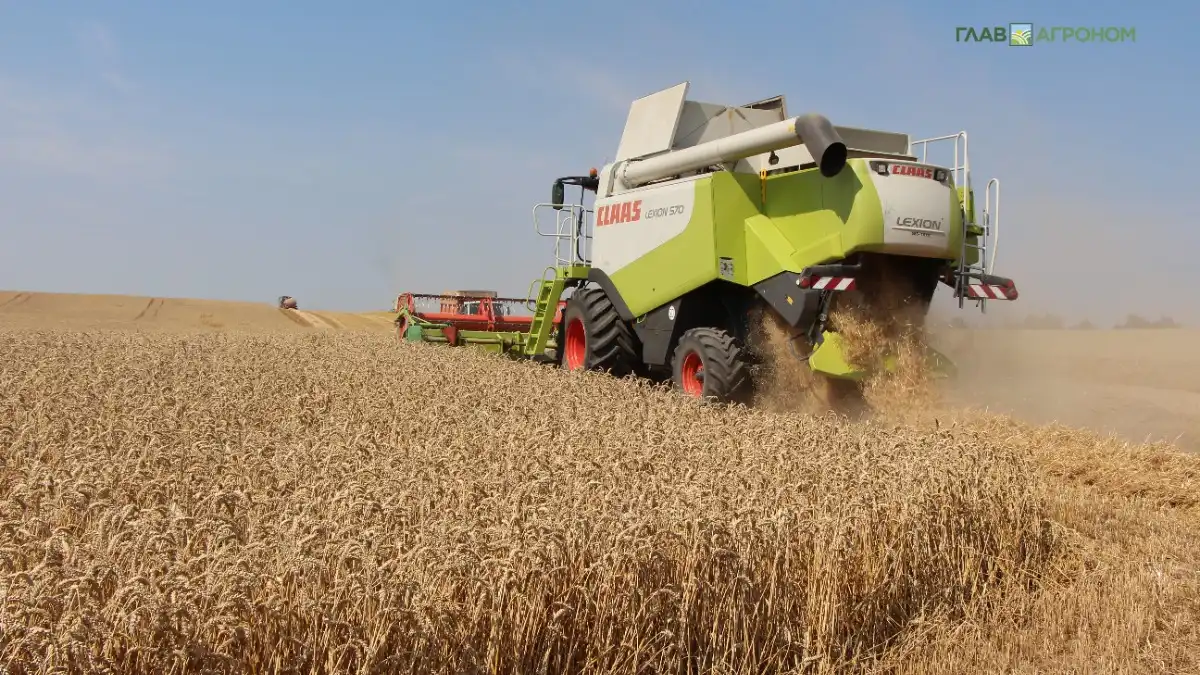 Фото:© Владимир Исаенко / Glavagronom.ruЭкспорт пшеницы из России в Китай в I полугодии 2025 года упал в 19 раз