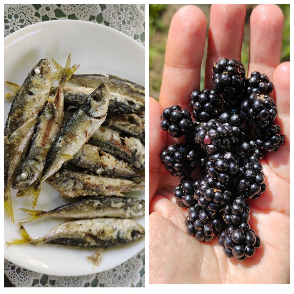 Как недорого поесть в Крыму 