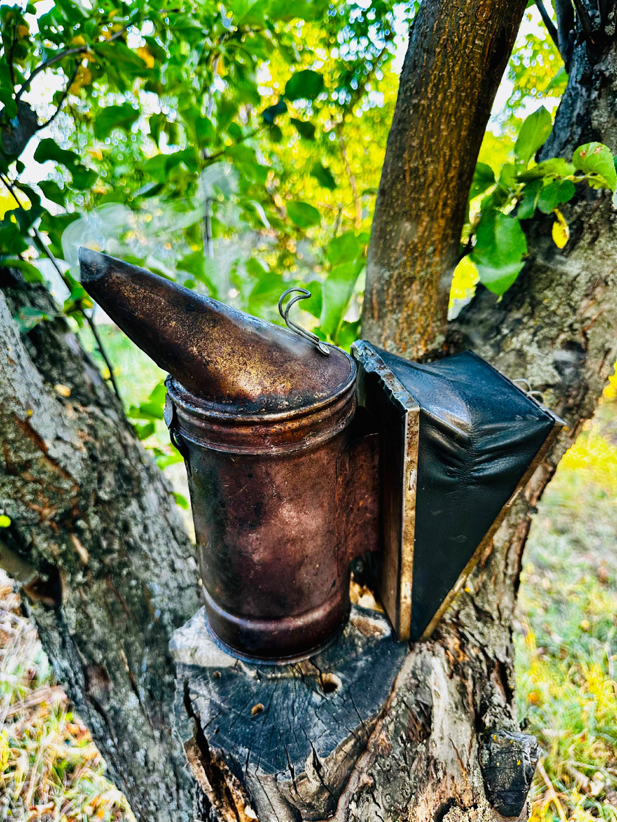 Фото автора канала