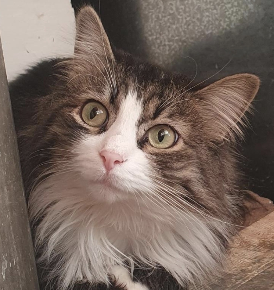 из открытых источников