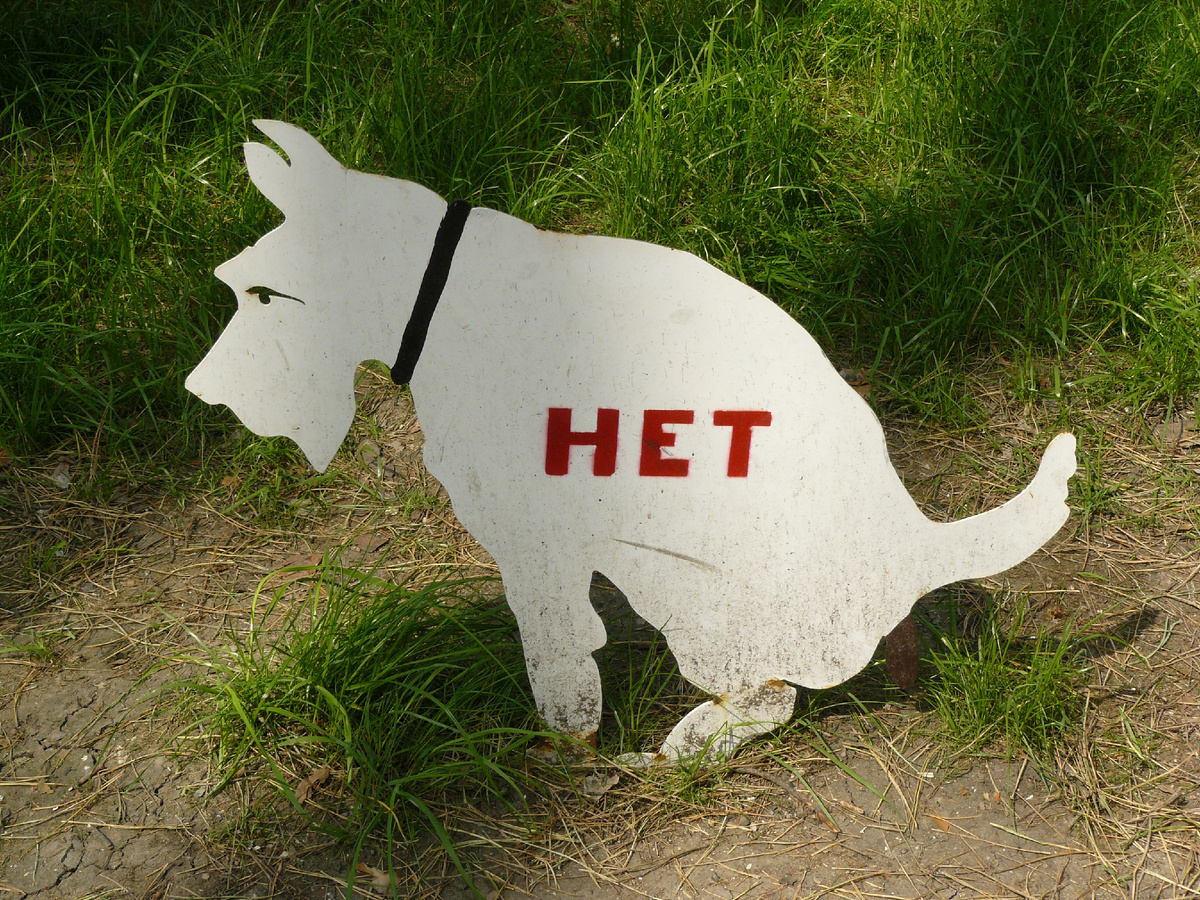 Я бы во всех парках установила такие напоминалки. Фото автора, сделано в Воронеже.