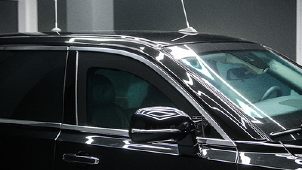    Ilya Moskovets/Globallookpress