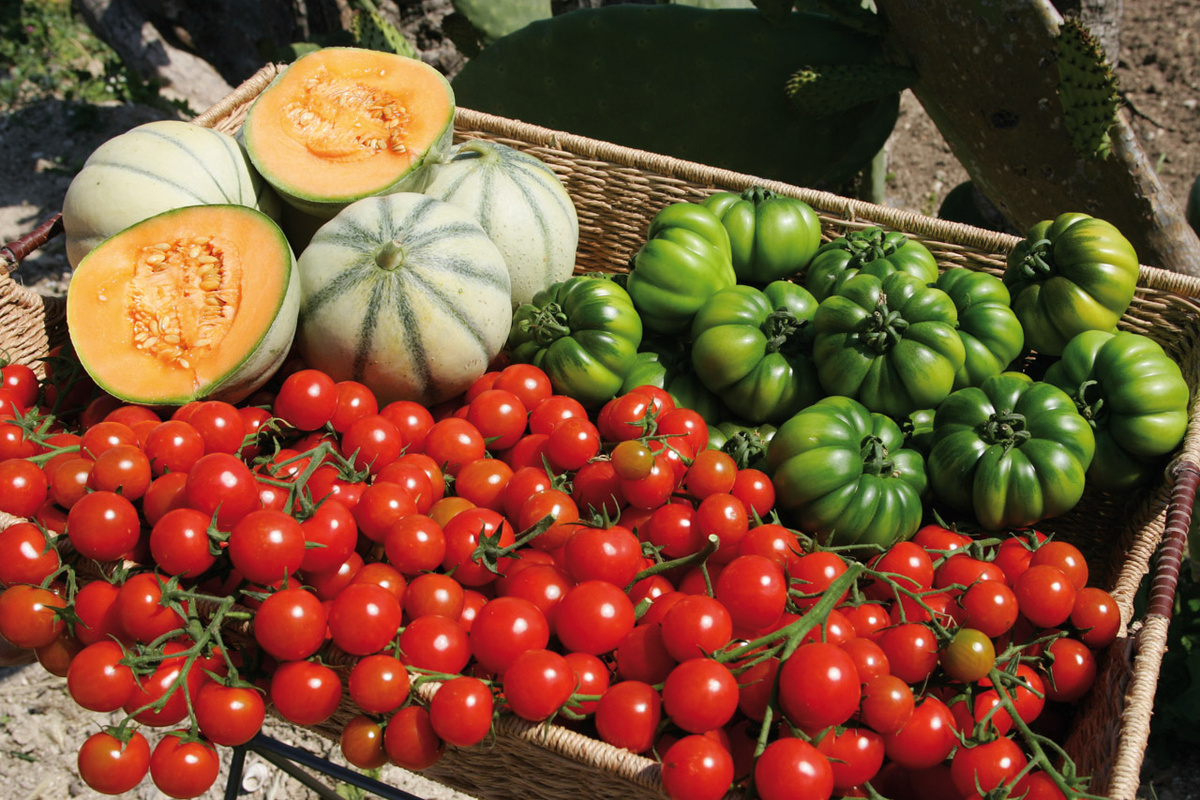 Выдуманные традиции или «Помидор из Пакино»: настоящая история 