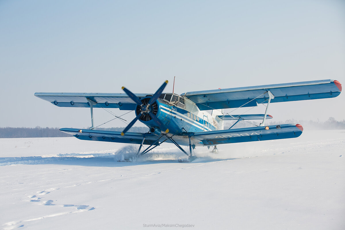 Фото из Яндекса. Спасибо автору. 