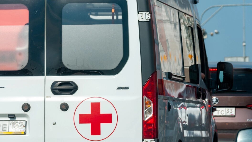    Фото: Svetlana Vozmilova/Globallookpress