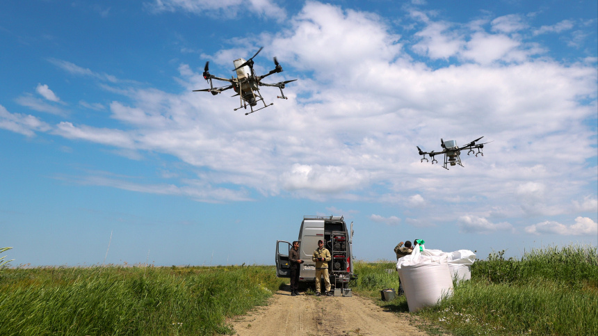    Фото: © РИА Новости/Виталий Тимкив