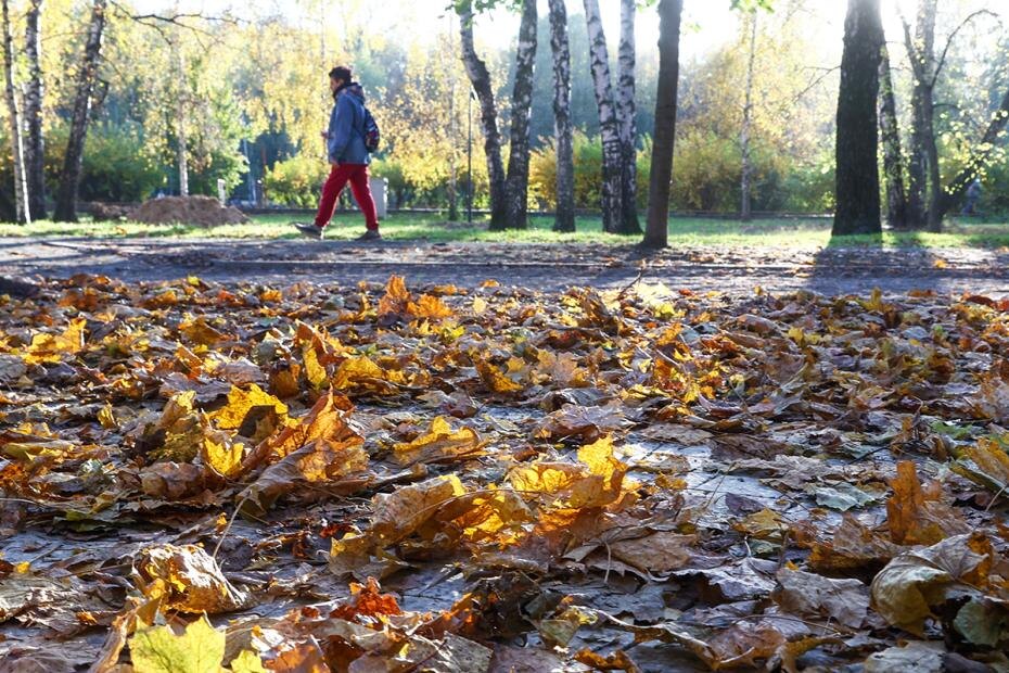    Наталья Шатохина/NEWS.ru