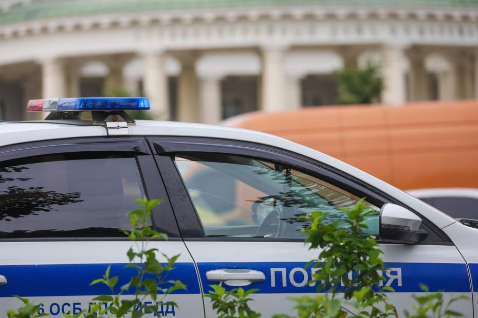    Наталья Шатохина/NEWS.ru