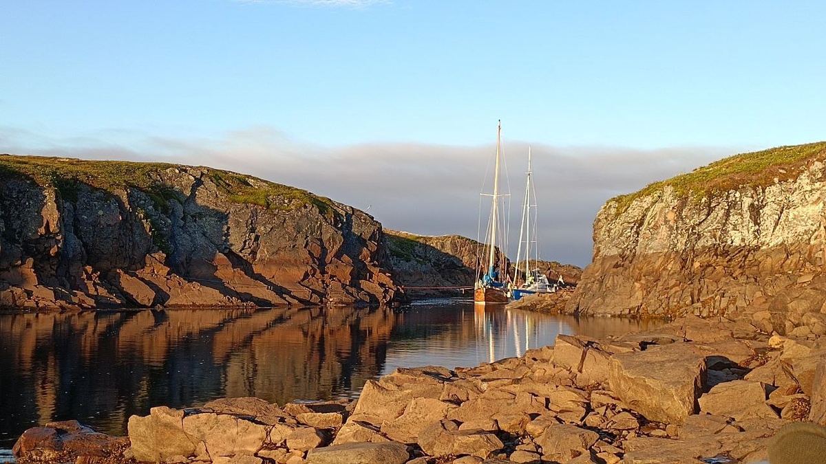 Фото: телеграм-канал «Под парусом»