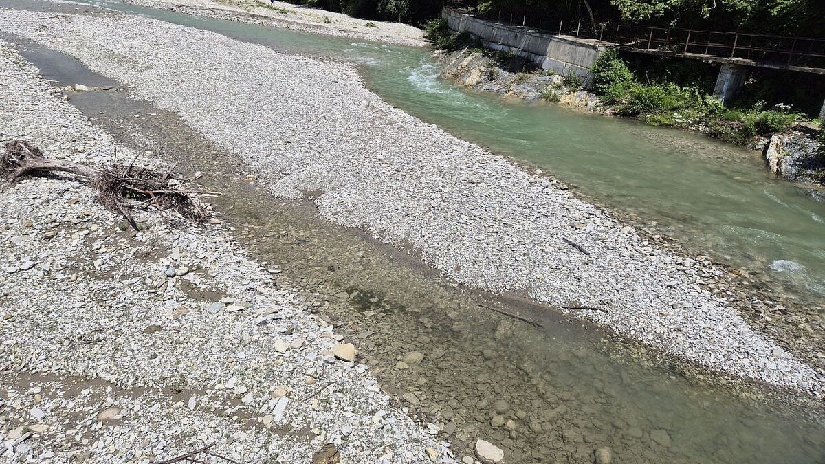    Фото: телеканал «Краснодар»