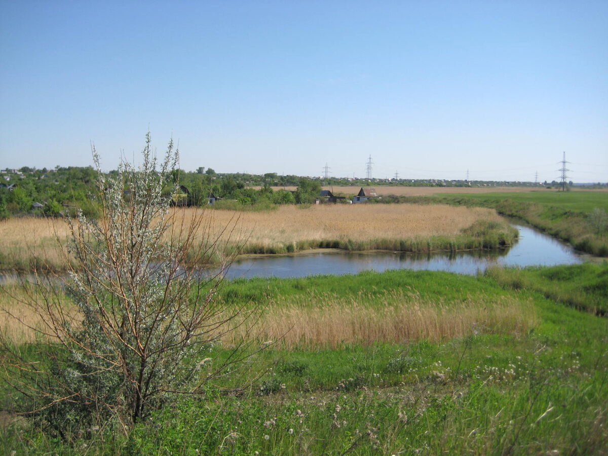 Деревенские просторы...