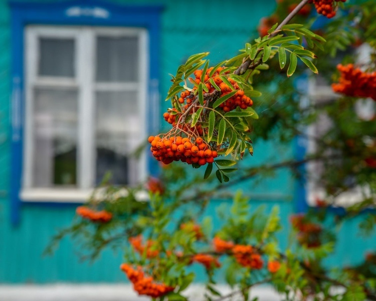     В Курской области 15 августа ожидаются сильный ветер и +26 градусов