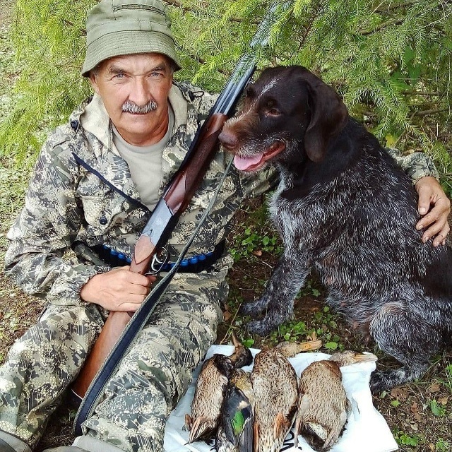 В Твери в День охотника пройдет выставка собак. Успейте подать заявку