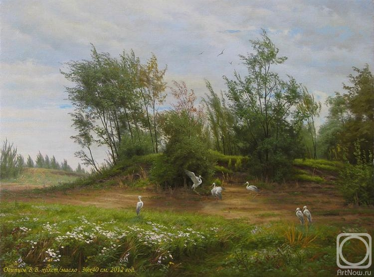 Вид в речной пойме. Ветреный день.