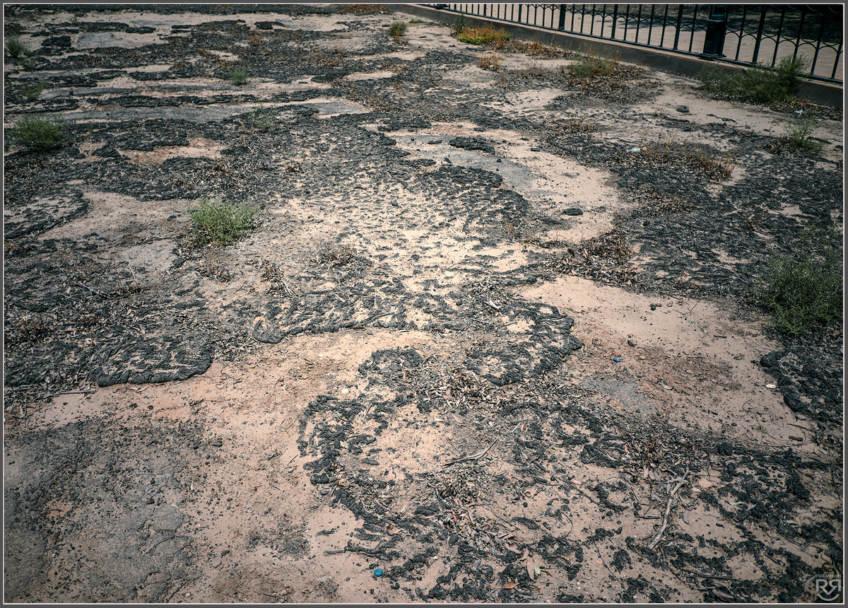 Старая дорога в древнем Вавилоне. Ирак. Фото: Михаил Рябинин