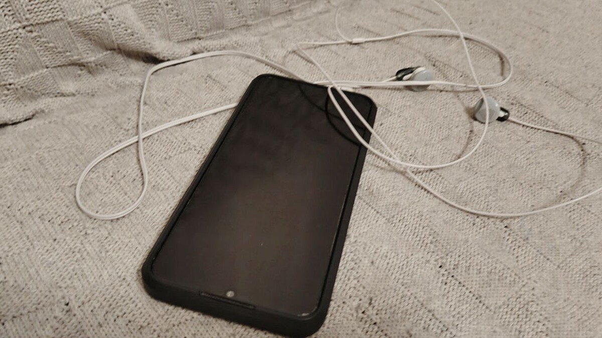    Фото: телеканал «Краснодар»