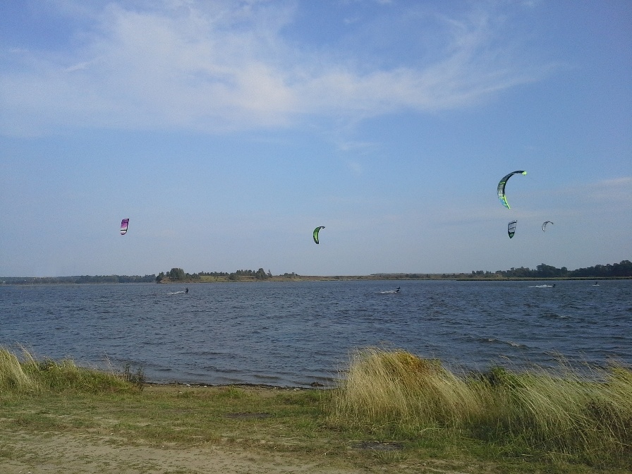    Фото: АиФ/ Владимир Сиверин.