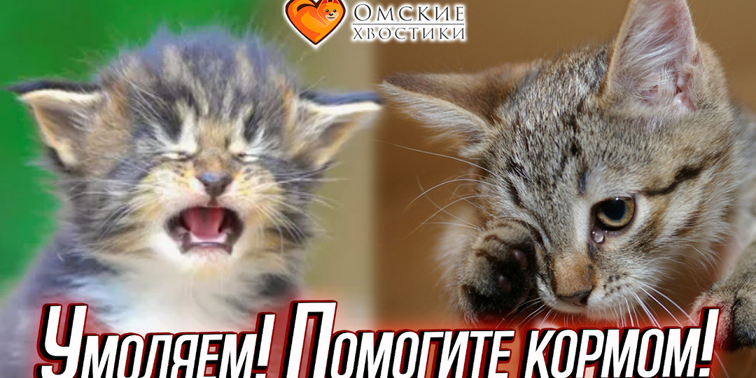 Умоляем! Помогите кормом!