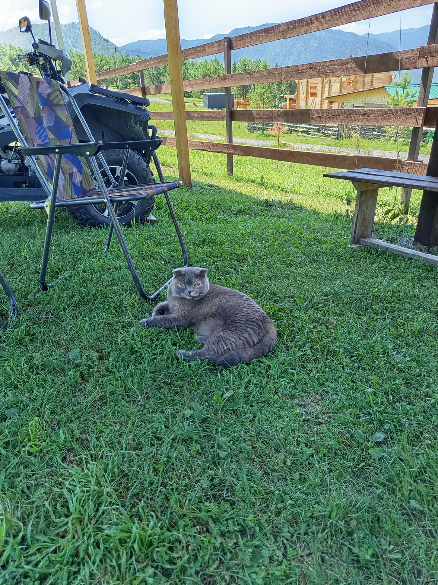 Фото автора. Тася тенёк оценила сразу.