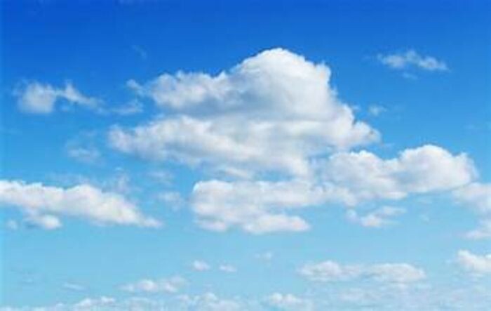 Иллюстрация: соцсети